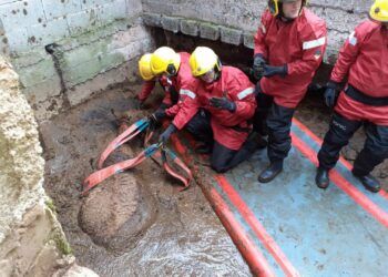 Firefighters free cow trapped in slurry pit
