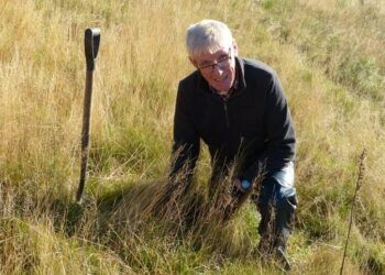 Tree planting at High Borrowdale