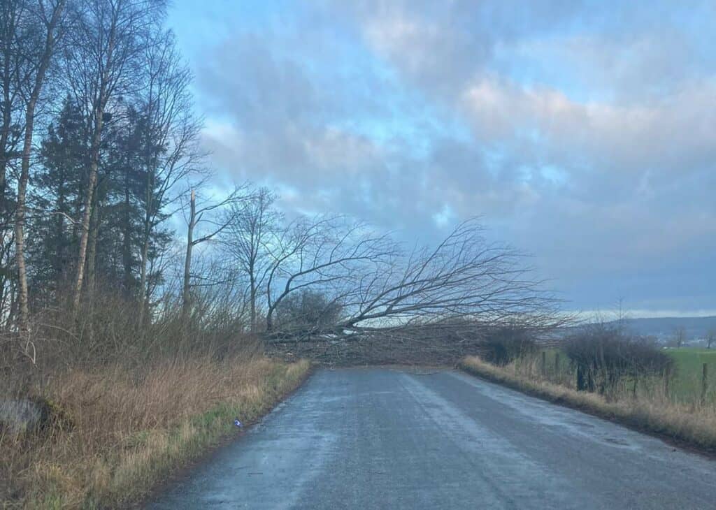 A fallen tree has blocked the road from Askham to Yanwath.