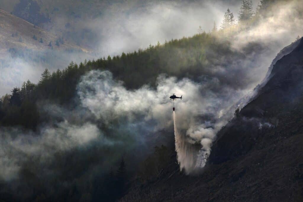 Lorraine Degraff's winning photo of the Whinlatter Forest fire 
