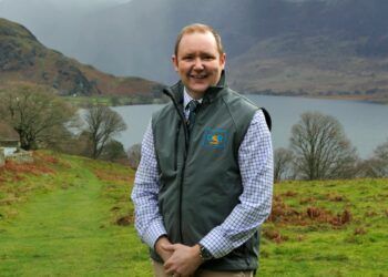 New chairman for valuers’ professional body
