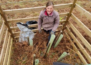 West Cumbria Rivers Trust complete Restoring the Derwent project