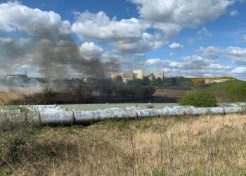 Hard work by firefighters prevents wildfire from spreading to water treatment works