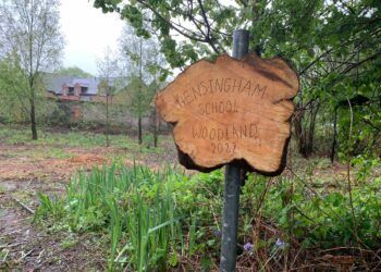 West Cumbrian pupils plant over 300 trees to create thriving forest