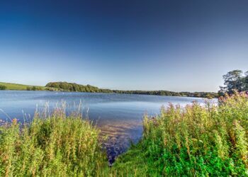 Festival of Nature planned for Talkin Tarn