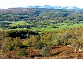 Lake District woodland to be part of Ancient Canopy to celebrate the Queen’s Platinum Jubilee