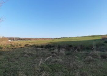 Technology park plans announced for site near Barrow