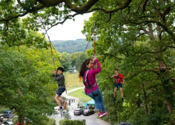 The triple zip wire at Treetop Trek, Brockhole