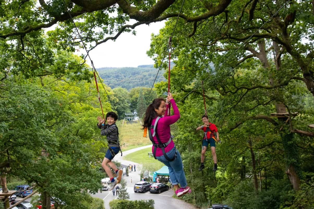 Treetop Trek celebrates a decade of welcoming visitors