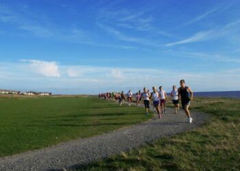 Walney Wind Cheetahs