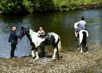 In pictures: King of the Gypsies urges people not to miss out on Appleby Horse Fair