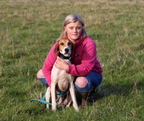 Sophie Steel with Miterdale Shadow, a former double champion who won the Veteran trail at Potters Park.