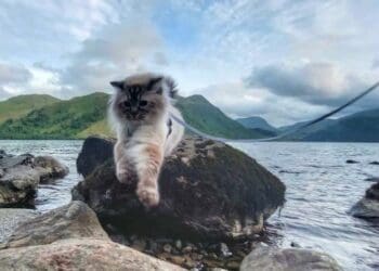 Image: @ragnarinthelakedistrict