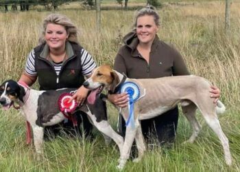 Hound trails take place at Rusland Show and Wythop
