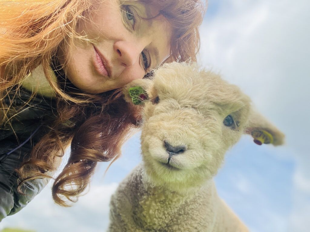 Heidi with one of her babydoll sheep