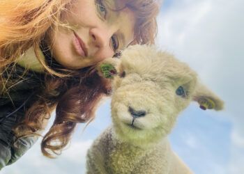 Heidi with one of her babydoll sheep