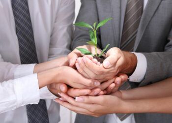 Support for Barrow businesses to cut energy bills