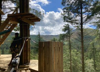 Go Ape Whinlatter open new treetop adventure course