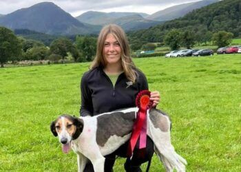Hound trailing meetings hit by virus affecting kennels across country