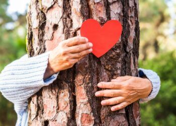 Celebrate Great Big Green Week in Cumbria