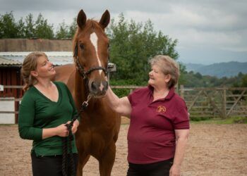 Women in business harness their potential thanks to horses