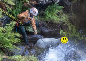 Ghyll scrambling sheep saved by Cumbrian mountain rescue team