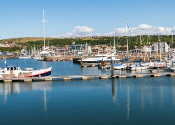 Free networking event for tourism businesses