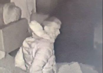 VIDEO: Thief steals £800-worth of goods….but doesn’t watch where he’s going during burglary