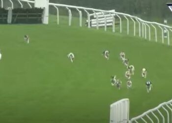 VIDEO: Cumbrian hound trailing demonstration goes viral