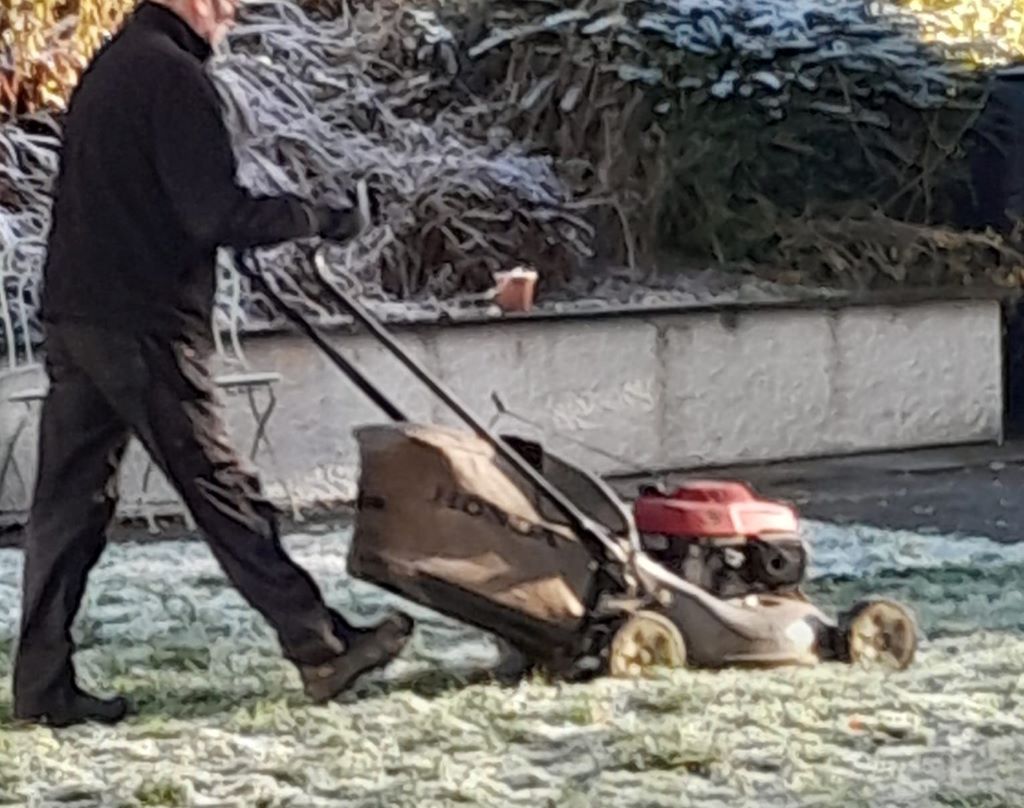 Lawn mowing at Greta Gardens, Keswick 