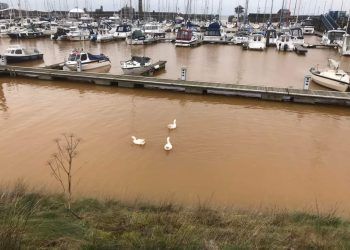 Tests after Whitehaven Harbour water turns orange