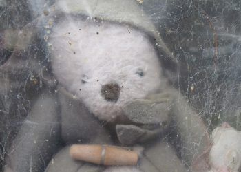 Lake District legend Teddy in the Window has home new owners pledge  