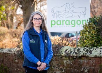 New role created to help Cumbrian vets expand