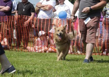 Oak Tree Animals’ Charity to host Easter Dogs’ Day Out Fair