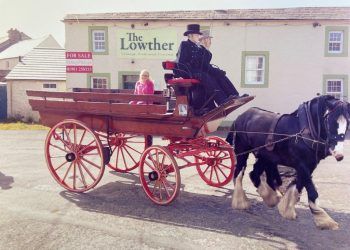 Unique collection of carts set to go under the hammer