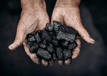 Miner,Holds,Coal,Palm.,Concept,Mining.,Top,View