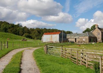 Opinion: Are you a wizard or a prophet? What is the answer for farming in the UK?