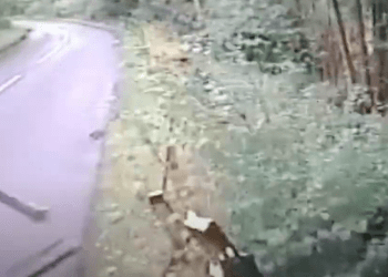 WATCH: Lorry driver crashed into ditch while over legal alcohol limit