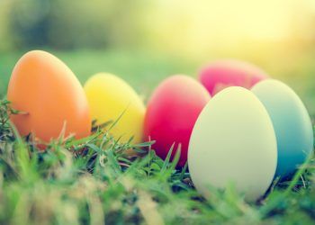 Easter opening hours for Cumbrian councils