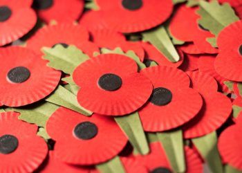 Cumbrian firm creates plastic-free poppy for Royal British Legion
