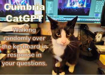 Opinion: Welcome to the AI future – it’s CAT GPT