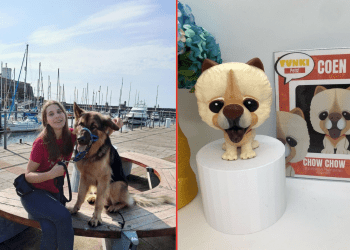 Cumbrian business spreads joy by miniaturising pets