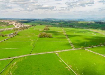 Over 287 acres of Cumbrian grassland on market for £1.92 million