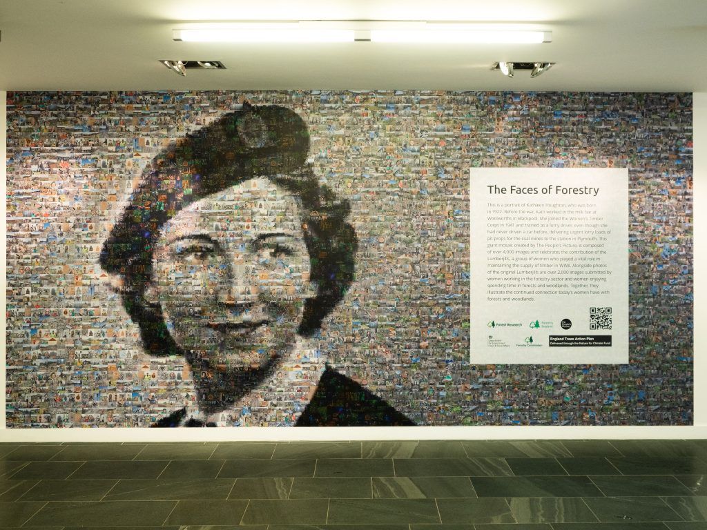 The Face of Forestry Exhibition at Grizedale Forest