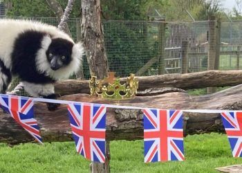 IN PICTURES: Cumbria celebrates the King’s coronation