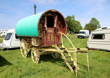 Appleby Horse Fair: RSPCA warn people not to bring dogs as hot weather set to continue
