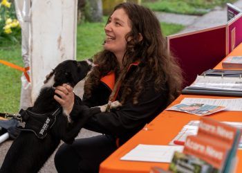 Oak Tree Animals’ Charity’s summer fair promises delights for dogs – and their owners!
