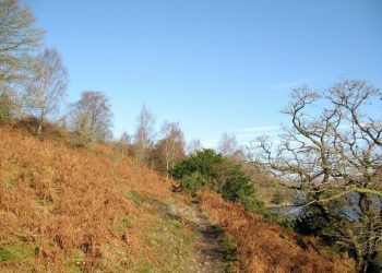 Runner rescued after collapsing from heat exhaustion during Lake District marathon