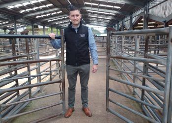 Health and safety manager joins H&H Group