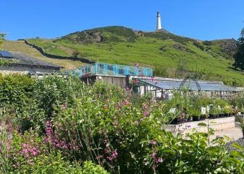 Art in the Park in South Cumbria